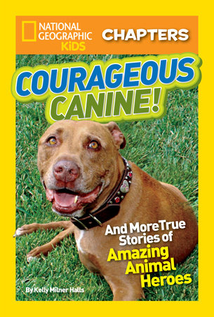 National Geographic Kids Chapters: Courageous Canine! Paperback by Kelly Milner Halls
