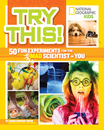 Try This! Paperback by Karen Romano Young