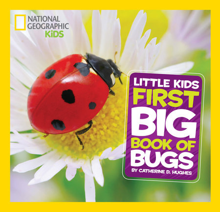 National Geographic Little Kids First Big Book of Bugs Hardcover by Catherine D. Hughes