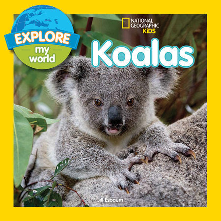Explore My World: Koalas Paperback by Jill Esbaum