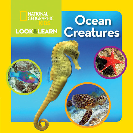 National Geographic Kids Look & Learn: Ocean Creatures Board Book by National Geographic Kids