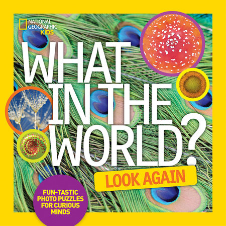 What in the World: Look Again Hardcover by National Geographic Kids