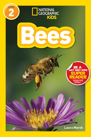 Bees (National Geographic Kids Readers, Level 2) Paperback by Laura Marsh