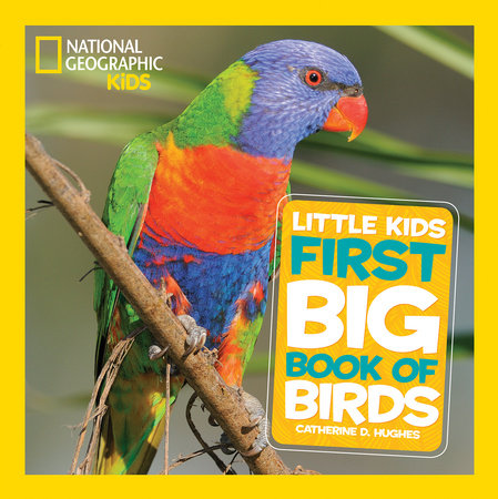 National Geographic Little Kids First Big Book of Birds Hardcover by Catherine D. Hughes