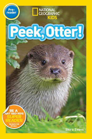 National Geographic Readers: Peek, Otter (Pre-Reader) Paperback by Shira Evans