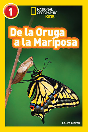National Geographic Readers: De la Oruga a la Mariposa (Caterpillar to Butterfly) Paperback by Laura Marsh