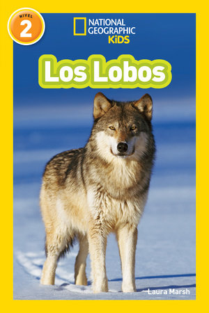 National Geographic Readers: Los Lobos (Wolves) Paperback by Laura Marsh