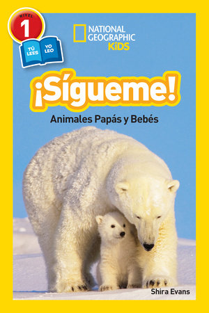 National Geographic Readers: Sigueme! (Follow Me!) Paperback by Shira Evans