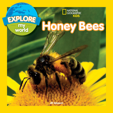 Explore My World: Honey Bees Paperback by Jill Esbaum