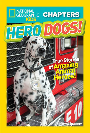 National Geographic Kids Chapters: Hero Dogs! Paperback by Mary Quattlebaum