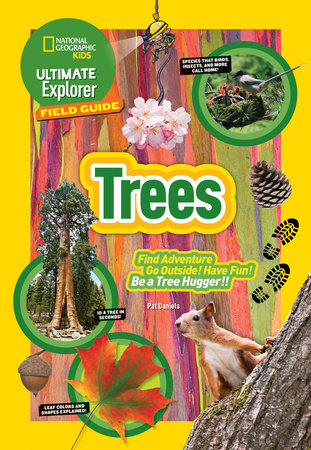Ultimate Explorer Field Guide: Trees Paperback by Patricia Daniels