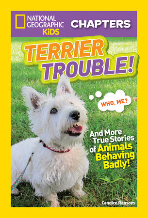 National Geographic Kids Chapters: Terrier Trouble! Paperback by Candice Ransom