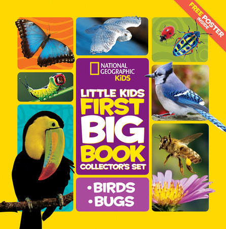 National Geographic Little Kids First Big Book Collector's Set: Birds and Bugs Boxed Set by Catherine D. Hughes