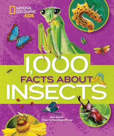 1,000 Facts About Insects HC by Nancy Honovich