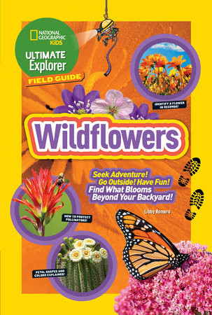 Ultimate Explorer Field Guide: Wildflowers Paperback by Libby Romero