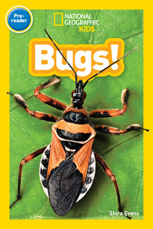 Bugs! (National Geographic Kids Readers, Pre-Reader) Paperback by Shira Evans
