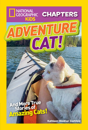 National Geographic Kids Chapters: Adventure Cat! Paperback by Kathleen Zoehfeld