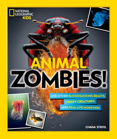 Animal Zombies! Paperback by Chana Stiefel