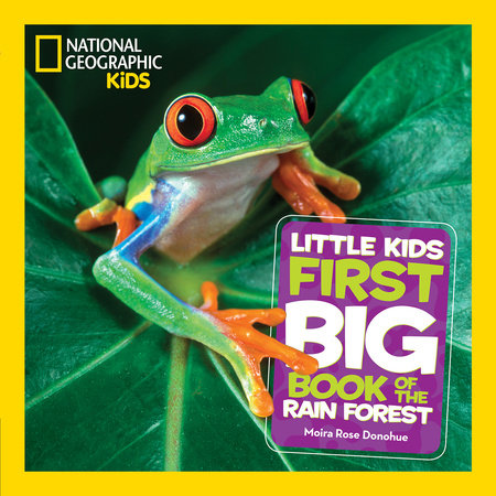 National Geographic Little Kids First Big Book of the Rain Forest Hardcover by Moira Rose Donohue