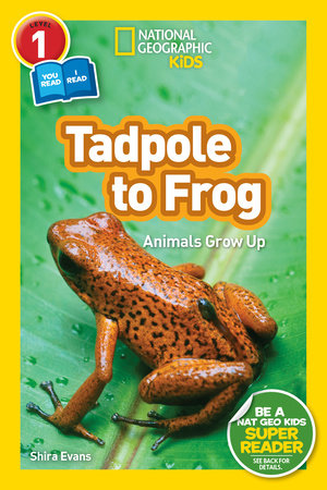 Tadpole to Frog (National Geographic Kids Readers, Level 1/Co-Reader) Paperback by Shira Evans