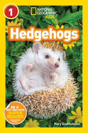 Hedgehogs (National Geographic Kids Readers, Level 1) TR by Mary Quattlebaum