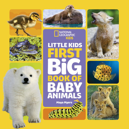 National Geographic Little Kids First Big Book of Baby Animals Hardcover by Maya Myers