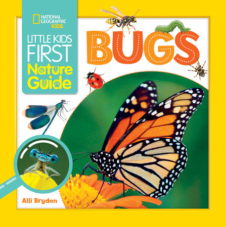 Little Kids First Nature Guide Bugs TR by Alli Brydon