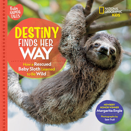 Destiny Finds Her Way Hardcover by Margarita Engle