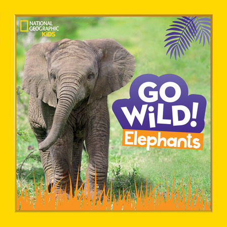 Go Wild! Elephants Hardcover by Margie Markarian