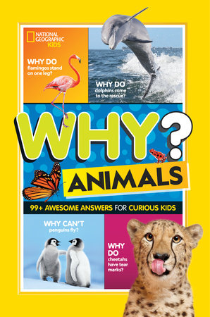 National Geographic Kids Why? Animals Paperback by Julie Beer
