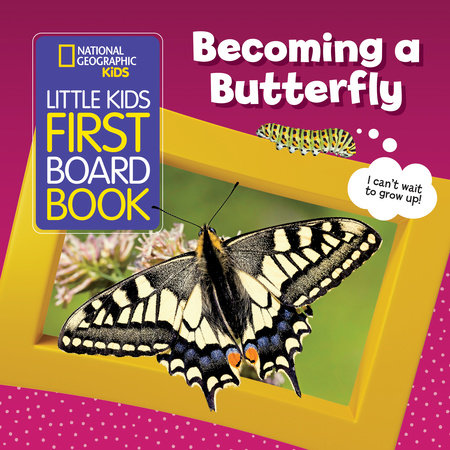 National Geographic Kids Little Kids First Board Book: Becoming a Butterfly Board Book by Ruth A. Musgrave