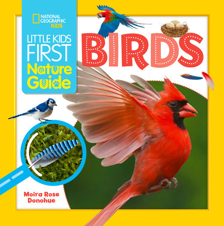 Little Kids First Nature Guide Birds Paperback by Moira Rose Donohue