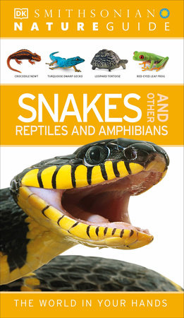 Nature Guide: Snakes and Other Reptiles and Amphibians Paperback by DK