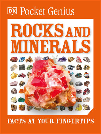 Pocket Genius Rocks and Minerals Paperback by DK
