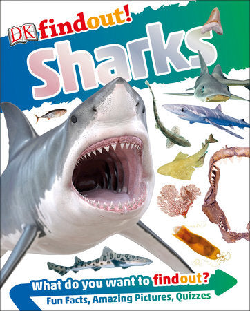 DKfindout! Sharks Paperback by DK
