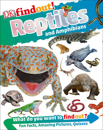 DKfindout! Reptiles and Amphibians Paperback by DK