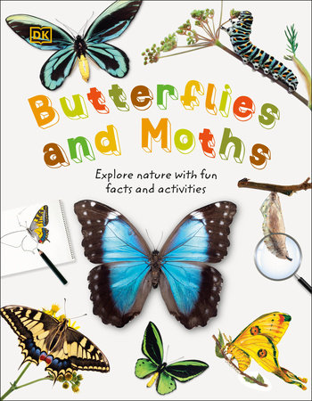 Butterflies and Moths Hardcover by DK