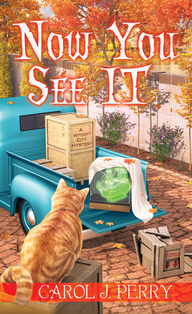 Now You See It Paperback by Carol J. Perry