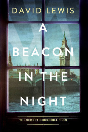 A Beacon in the Night Paperback by David Lewis