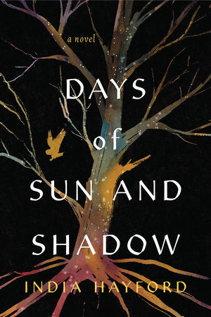 Days of Sun and Shadow Paperback by India Hayford