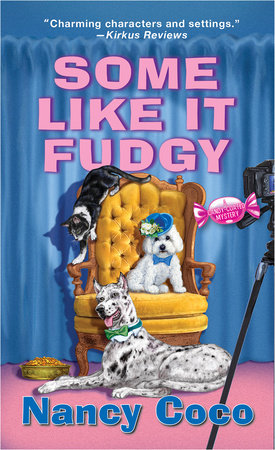 Some Like It Fudgy Paperback by Nancy Coco