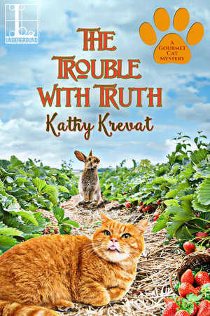The Trouble with Truth Paperback by Kathy Krevat