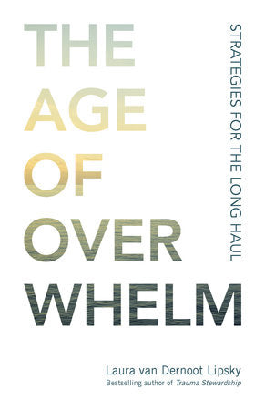 The Age of Overwhelm Paperback by Laura van Dernoot Lipsky