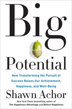Big Potential Hardcover by Shawn Achor