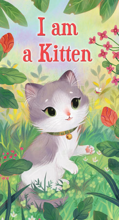 I am a Kitten EL by Ole Risom; illustrated by Olivia Chin Mueller
