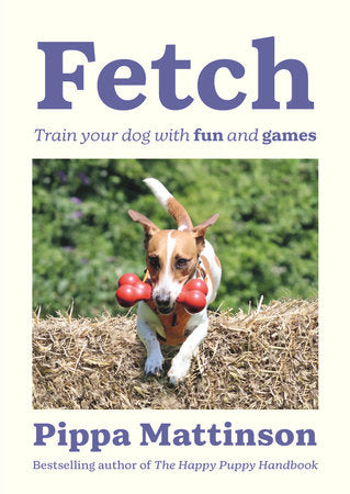 Fetch Paperback by Pippa Mattinson