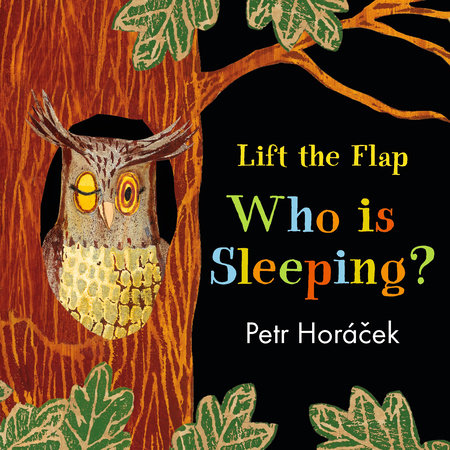 Who Is Sleeping? Board Book by Petr Horacek; Illustrated by Petr Horacek