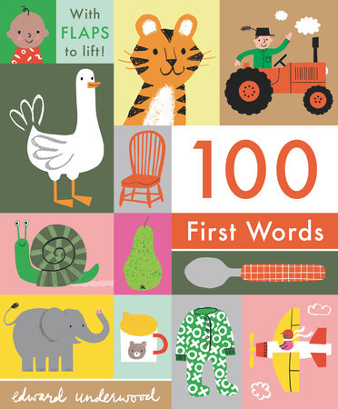 100 First Words: With Flaps to Lift BR by Illustrated by Edward Underwood