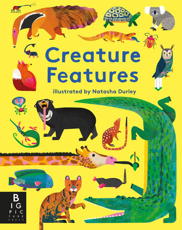 Creature Features Board Book by Natasha Durley; Illustrated by Natasha Durley