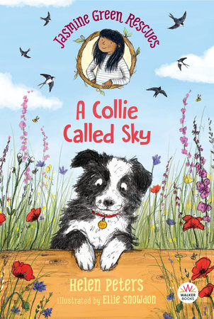Jasmine Green Rescues: A Collie Called Sky TR by Helen Peters; Illustrated by Ellie Snowdon